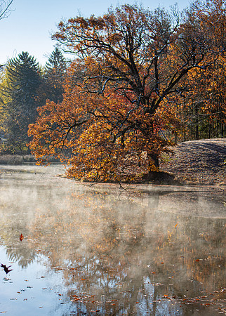 Oakwood Cemetery 10.31.20
