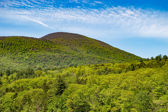 Ashokan Rail Trail - May 2020