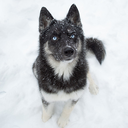 Winter Storm Harper 01.20.19