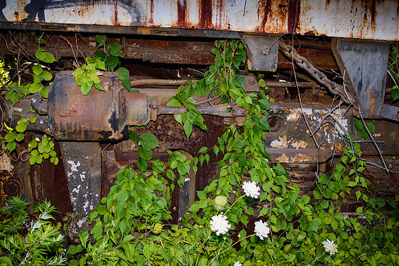 Overgrown