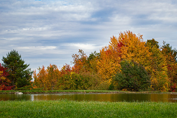 DSC_5577