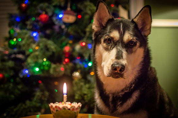 Nicko's 7th Birthday 12.12.18
