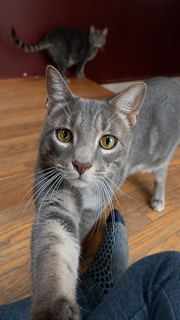 DSC_0710