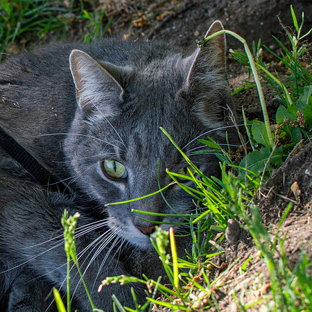 DSC_4672